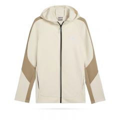 Bluza cu fermoar Puma Evostripe Warm Full-Zip Hoodie DK Barbati
